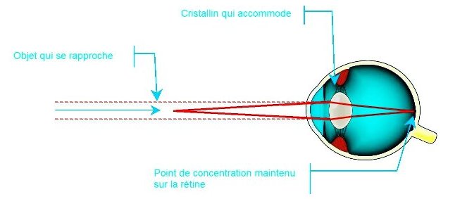 oeil accomodant