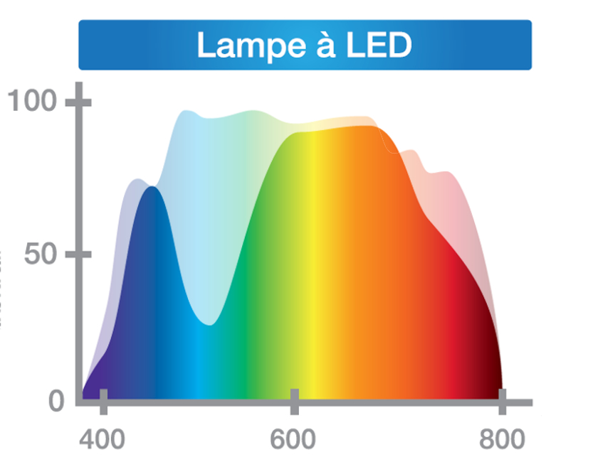 Lumière bleue des lampes LED