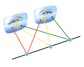 Vision binoculaire